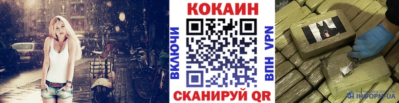 Купить закладки  Александровск  Кокаин Эквадор 