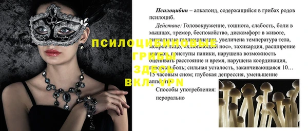 мяу мяу мука Надым